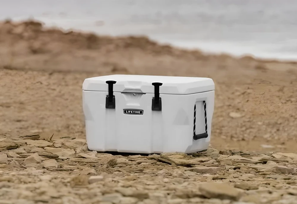 cooler ice chest