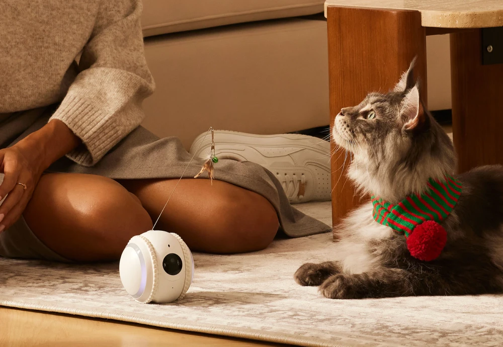 best at home pet camera