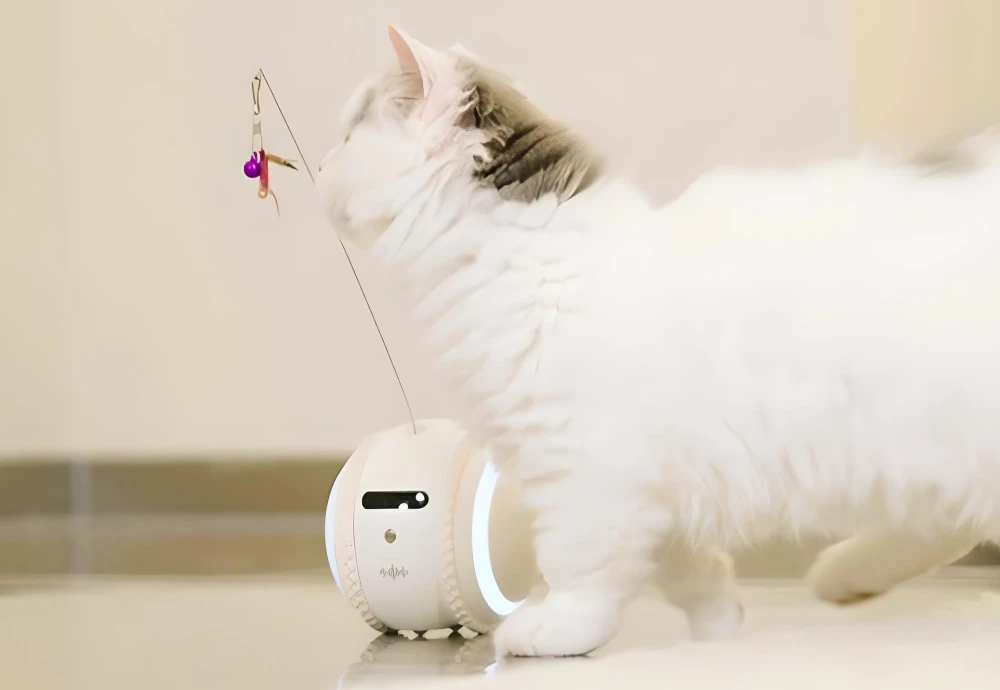 best at home pet camera