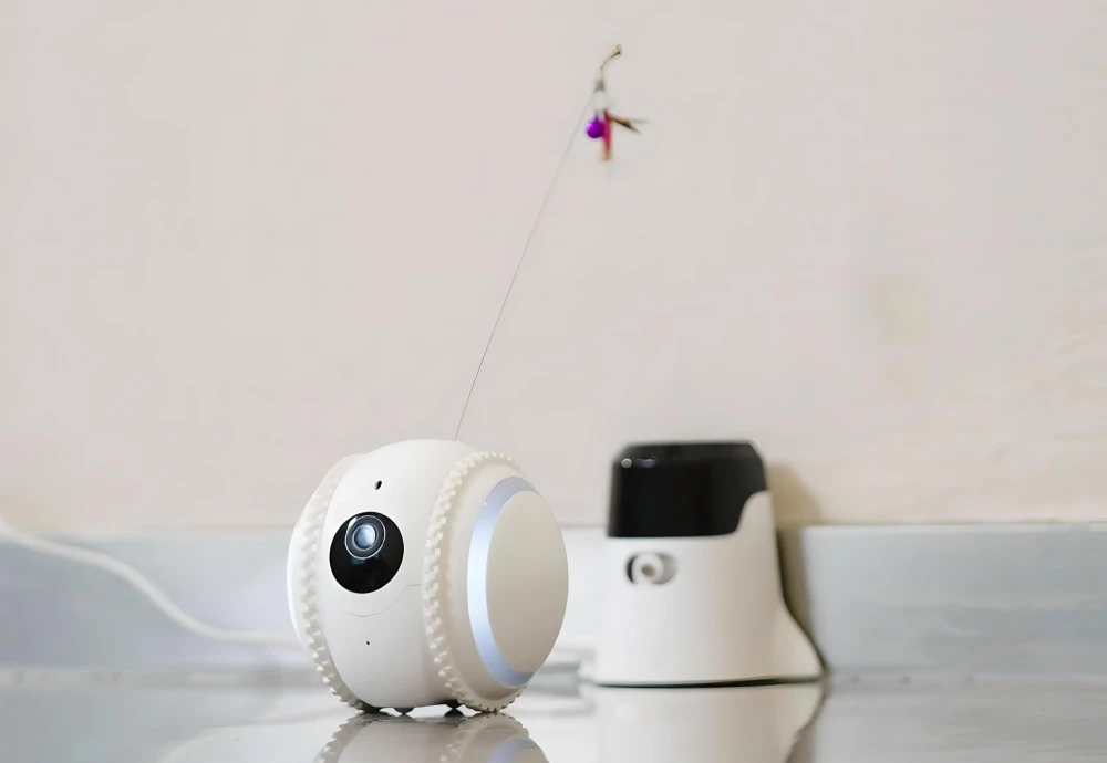 best pet security camera