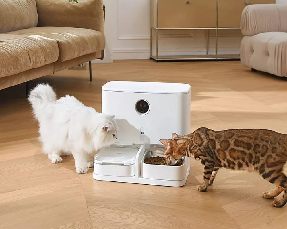 automatic pet food feeder